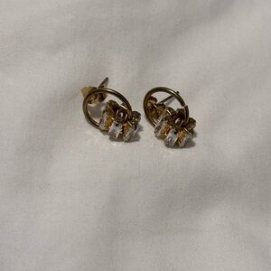 Elegant Gold Hoop Earrings